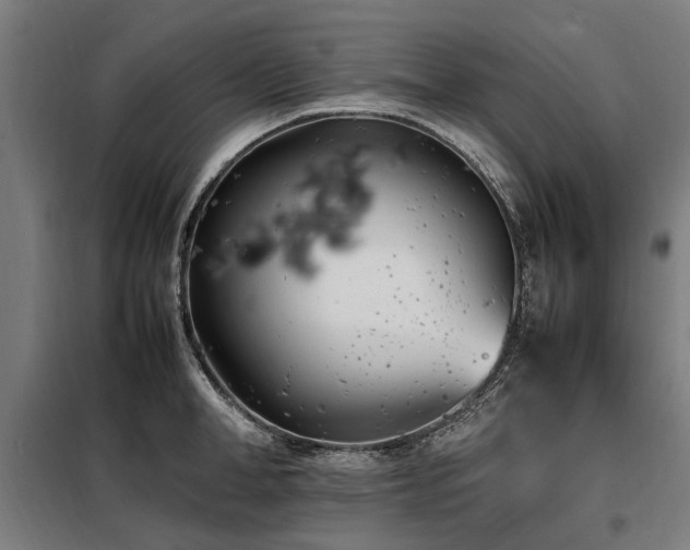X0000098080998200804041144