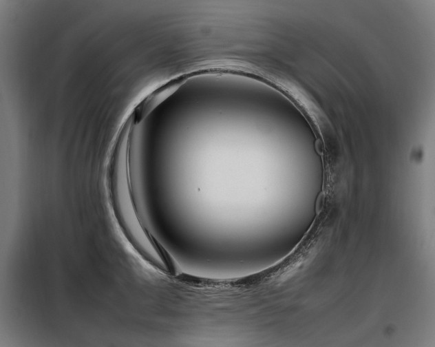 X0000098080999200804041144