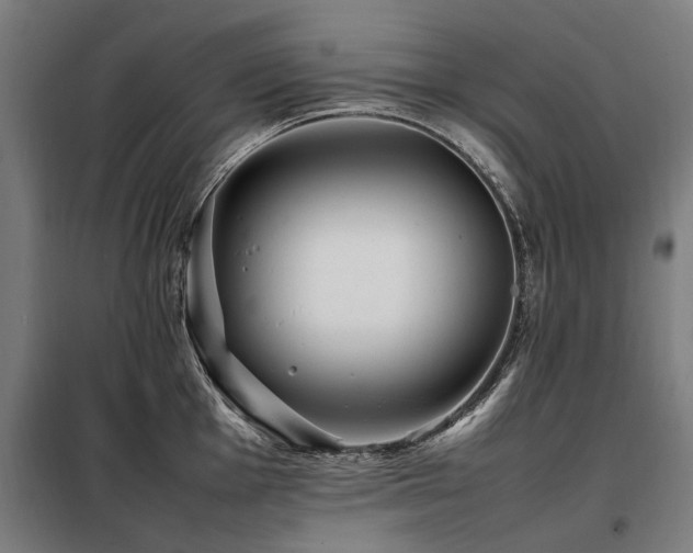 X0000098081001200804041144