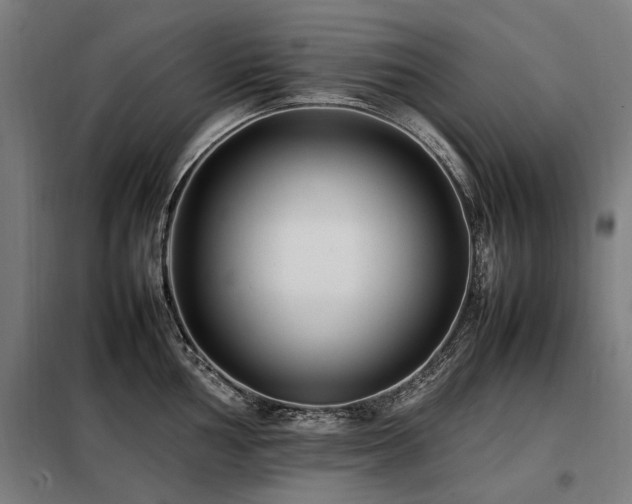 X0000098081002200804041144