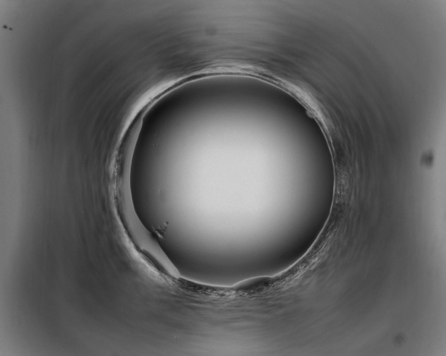 X0000098081003200804041144