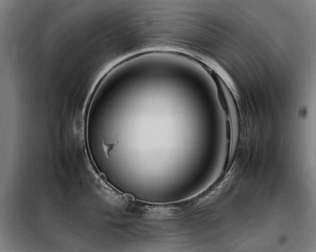 X0000098081004200804041144