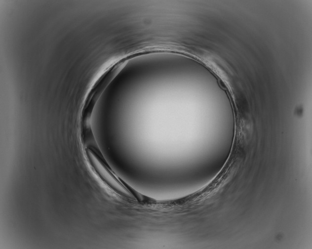 X0000098081005200804041144
