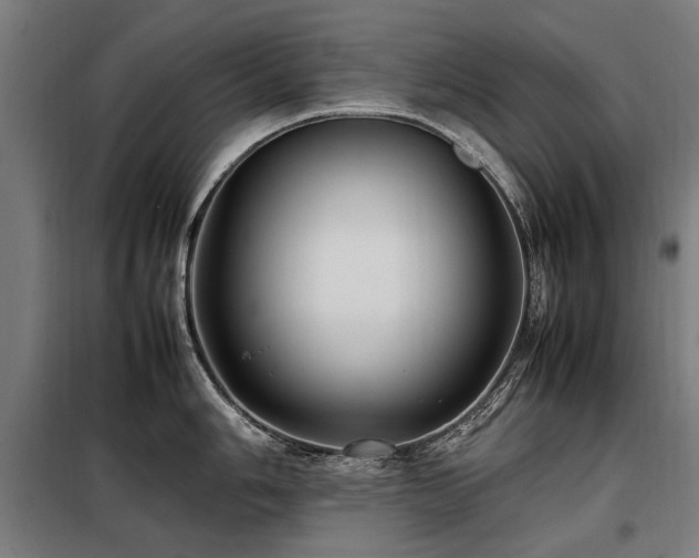 X0000098081006200804041144
