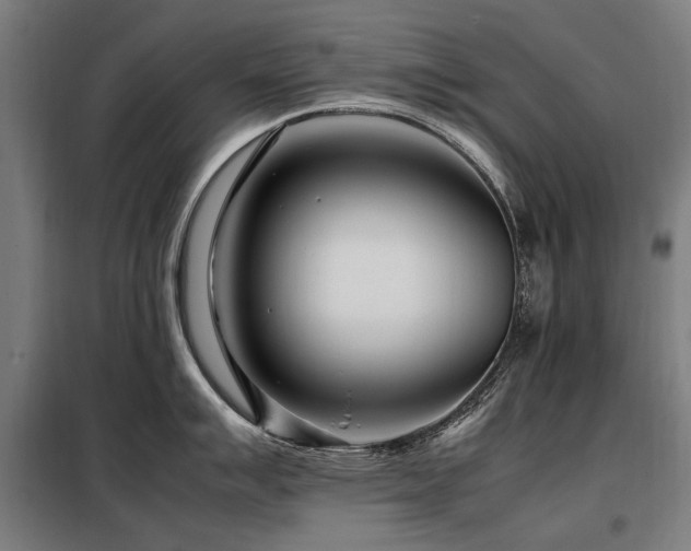 X0000098081007200804041144