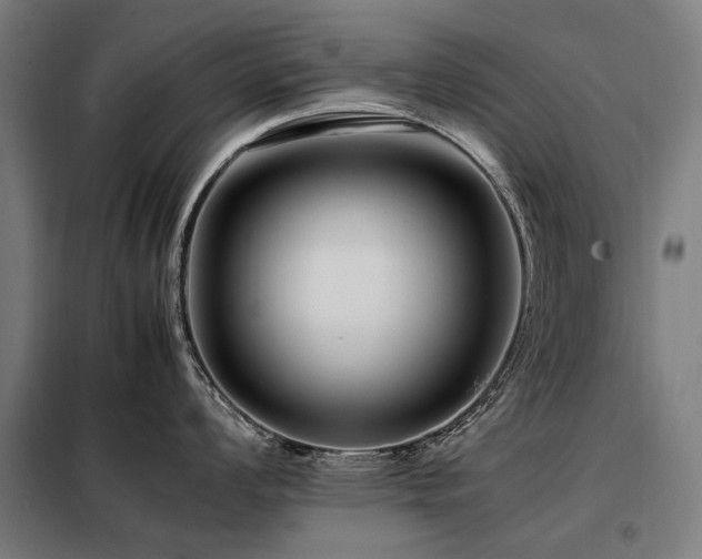 X0000098081008200804041144