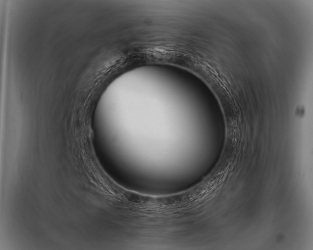 X0000098081009200804041143