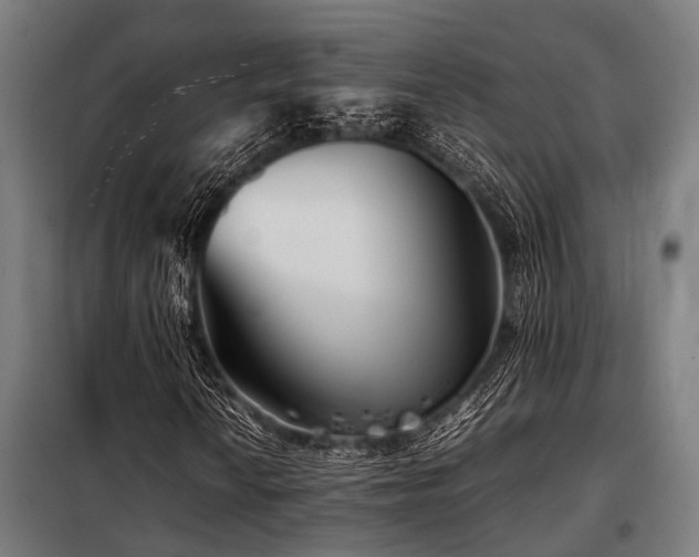 X0000098081010200804041143