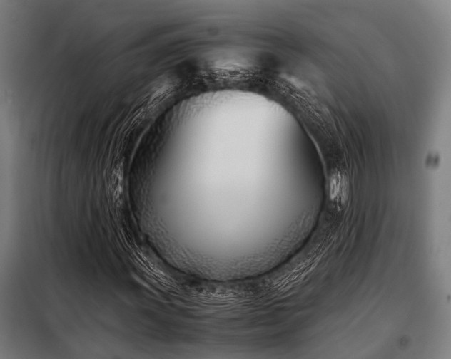 X0000098081011200804041143