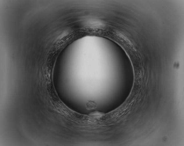 X0000098081013200804041143
