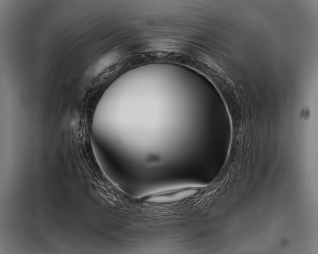 X0000098081014200804041143