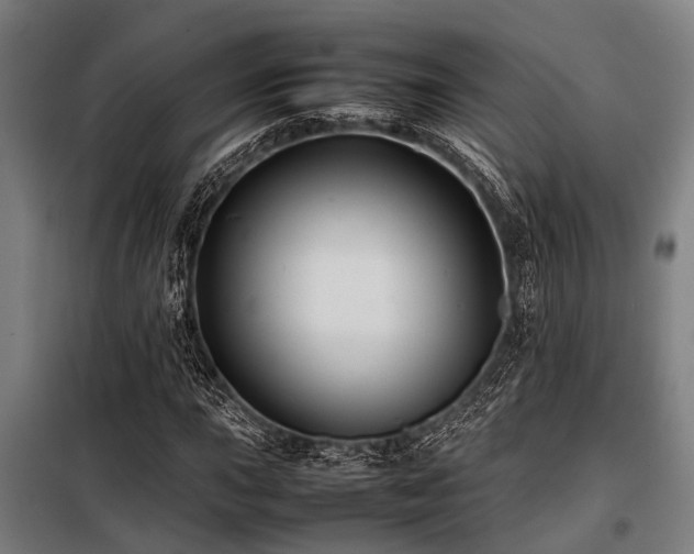 X0000098081015200804041143
