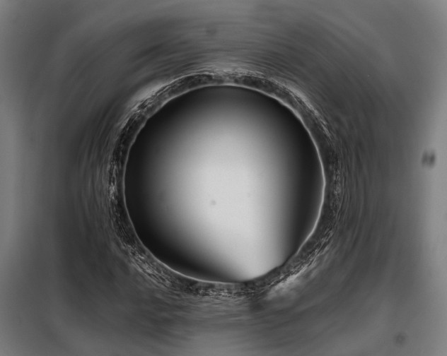 X0000098081016200804041143