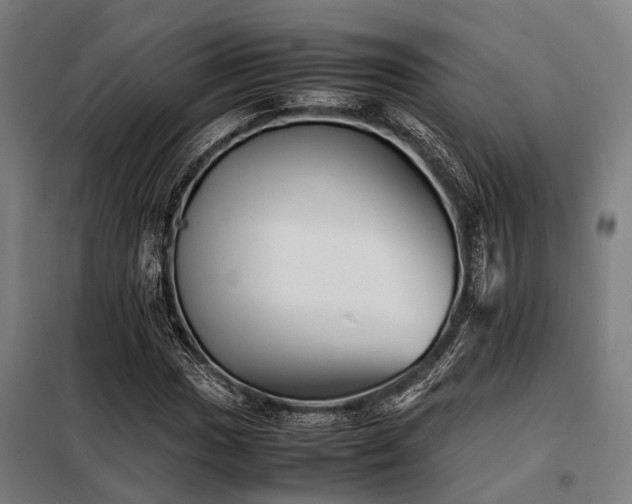 X0000098081017200804041143