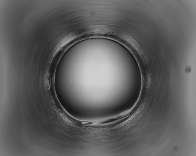 X0000098081018200804041143