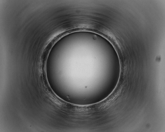 X0000098081019200804041143