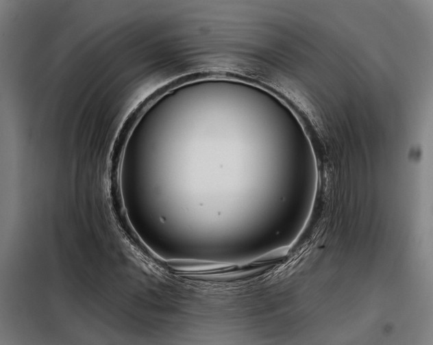 X0000098081020200804041144