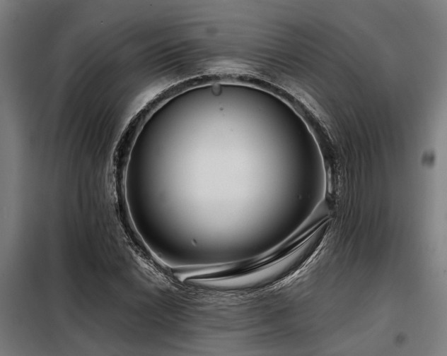 X0000098081022200804041144