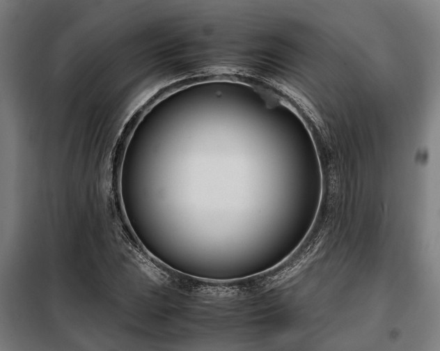X0000098081023200804041144