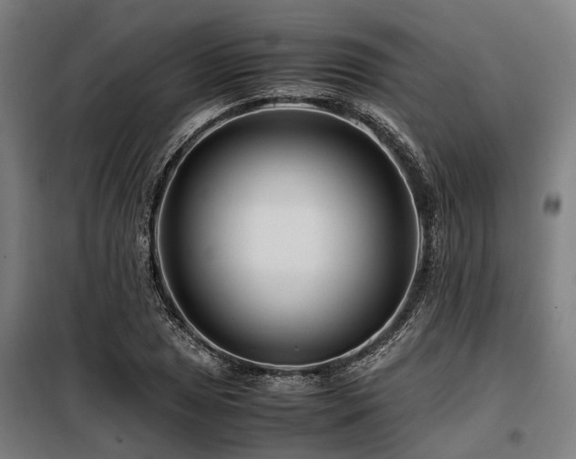 X0000098081025200804041144