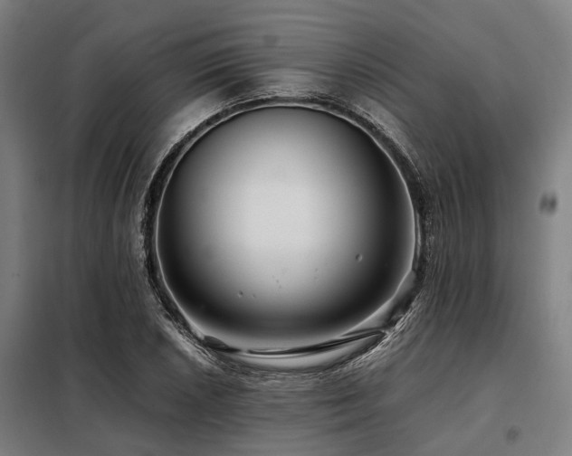X0000098081026200804041144