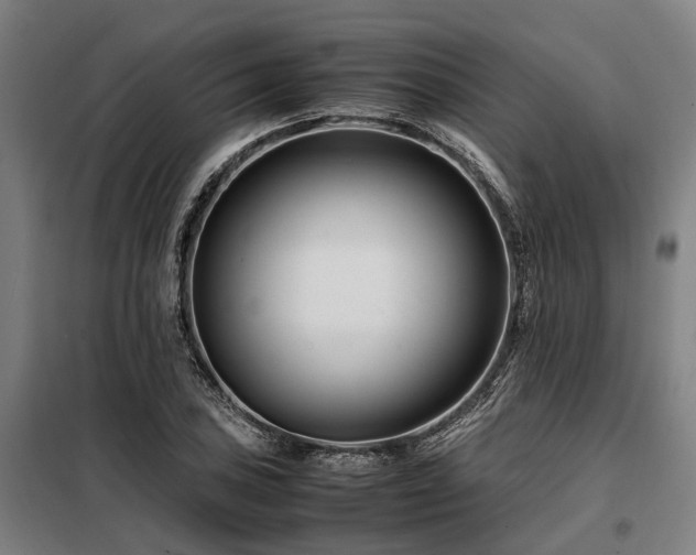 X0000098081027200804041144