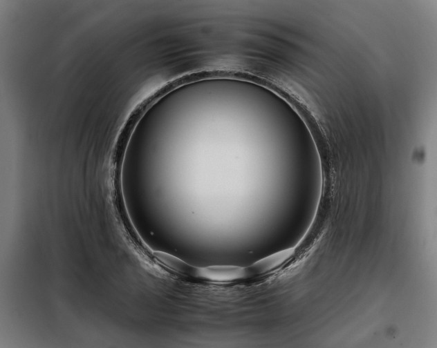 X0000098081029200804041144