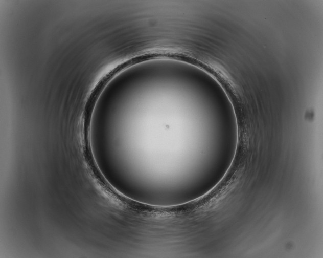 X0000098081030200804041144