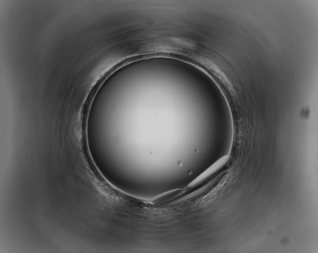 X0000098081031200804041144