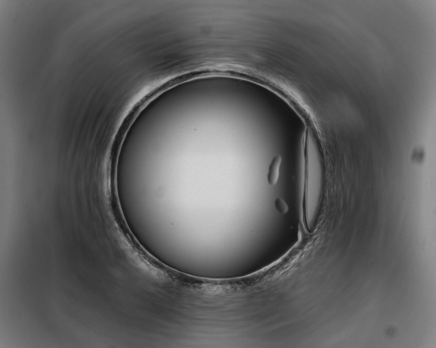 X0000098081032200804041144