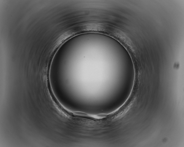 X0000098081033200804041144