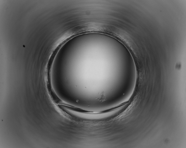 X0000098081034200804041144