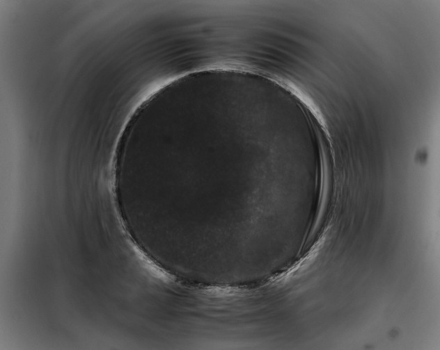 X0000098081037200804041144