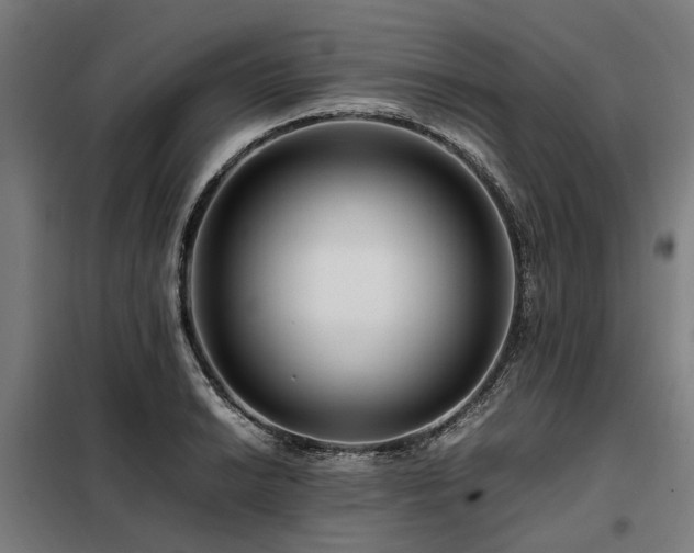 X0000098081038200804041144