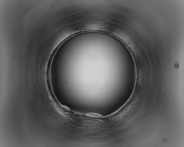 X0000098081039200804041144