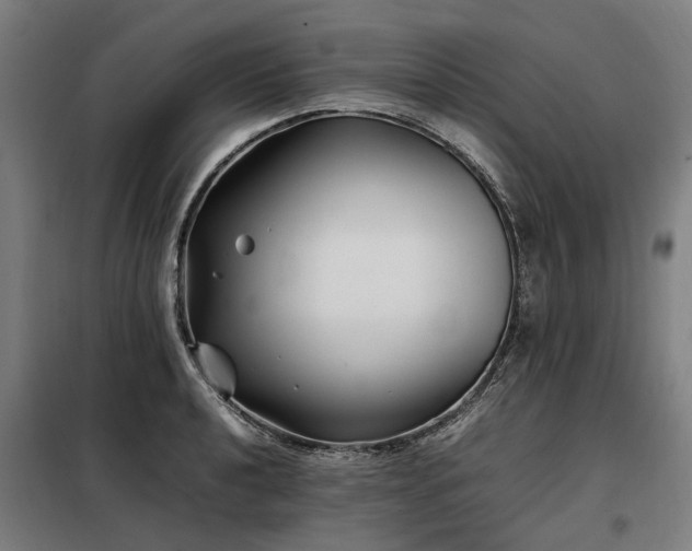 X0000098081040200804041144