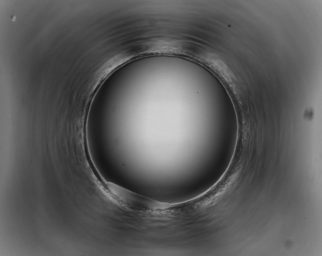 X0000098081041200804041144