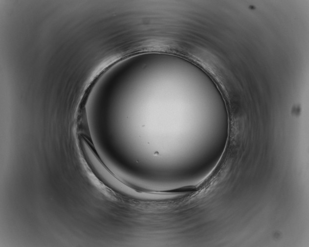 X0000098081042200804041144