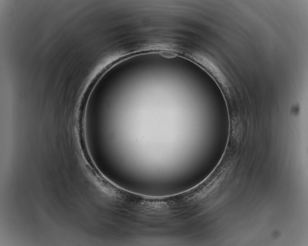 X0000098081043200804041144