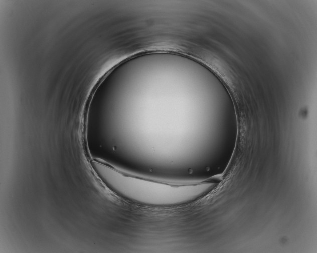 X0000098081044200804041144
