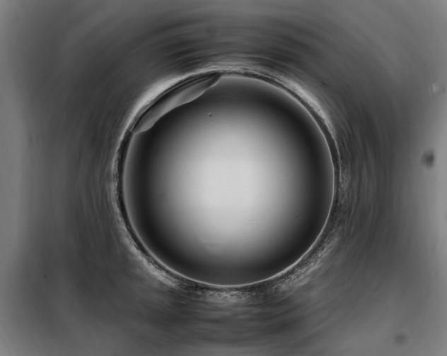 X0000098081045200804041144