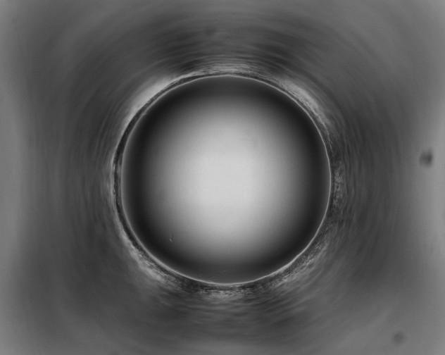 X0000098081047200804041144