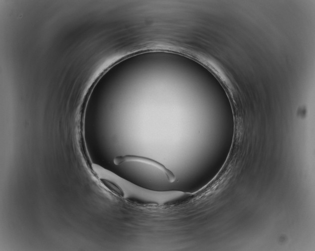 X0000098081048200804041144