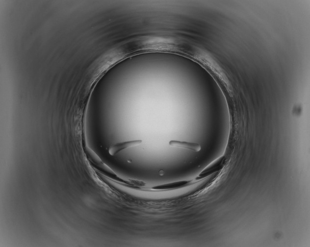 X0000098081049200804041144