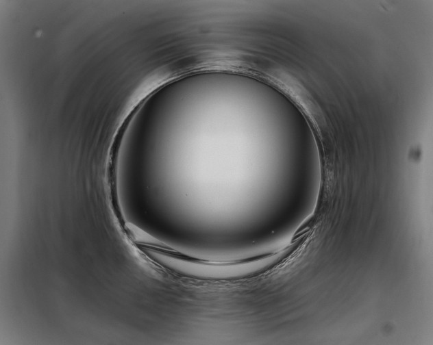 X0000098081050200804041144