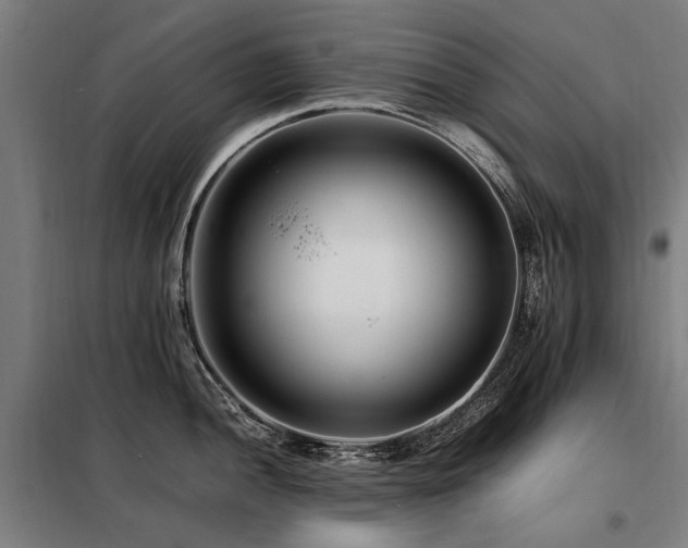 X0000098081052200804041144