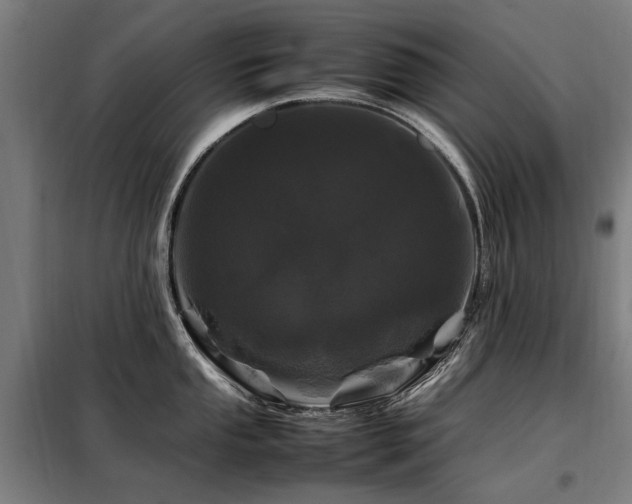X0000098081053200804041144