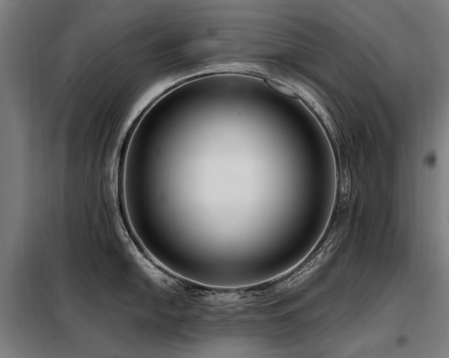 X0000098081054200804041144