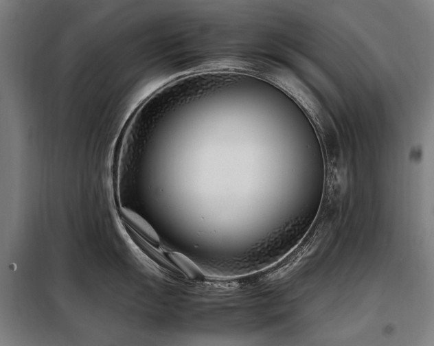 X0000098081055200804041144