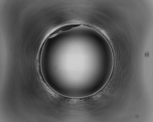 X0000098081056200804041144